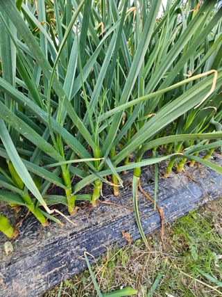 백수현님의 자유주제 · 건의해요 작성글 사진