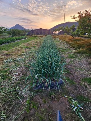 백수현님의 자유주제 · 건의해요 작성글 사진