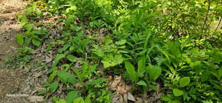 해오름달님의 자유주제 · 자유게시판 작성글 사진