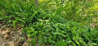 해오름달님의 자유주제 · 자유게시판 작성글 사진