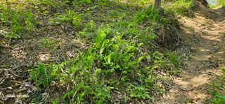 해오름달님의 자유주제 · 자유게시판 작성글 사진