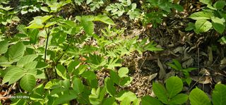 해오름달님의 자유주제 · 자유게시판 작성글 사진