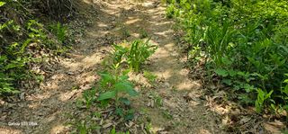 해오름달님의 자유주제 · 자유게시판 작성글 사진