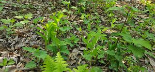 해오름달님의 자유주제 · 자유게시판 작성글 사진