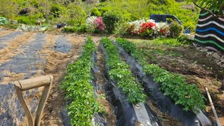 정금기님의 자유주제 · 사진전 작성글 사진