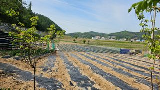 정금기님의 자유주제 · 사진전 작성글 사진