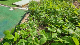 정금기님의 자유주제 · 사진전 작성글 사진