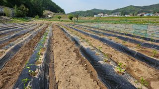 정금기님의 자유주제 · 사진전 작성글 사진