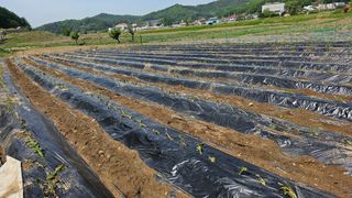 정금기님의 자유주제 · 사진전 작성글 사진