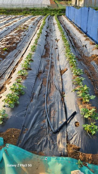 이범남님의 자유주제 · 자유게시판 작성글 사진