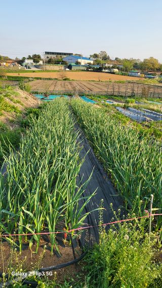 이범남님의 자유주제 · 자유게시판 작성글 사진