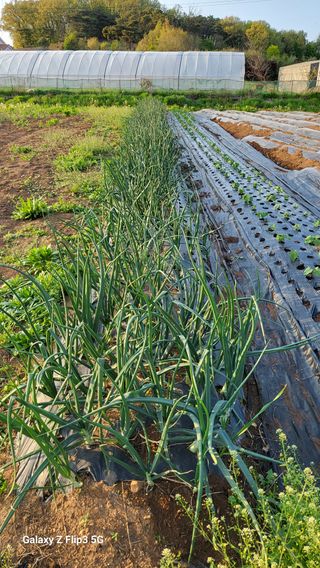 이범남님의 자유주제 · 자유게시판 작성글 사진