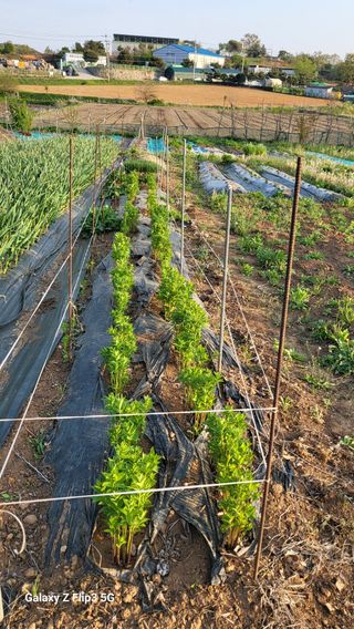 이범남님의 자유주제 · 자유게시판 작성글 사진
