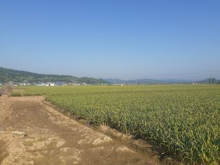 황석면님의 자유주제 · 자유게시판 작성글 사진