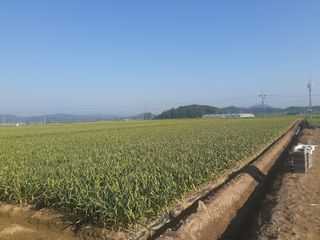 황석면님의 자유주제 · 자유게시판 작성글 사진