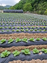 팜모닝 5월 농사계획 공유하기·참여글 게시글 이미지