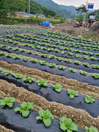 오태원님의 5월 농사계획 공유하기 · 참여글 작성글 사진