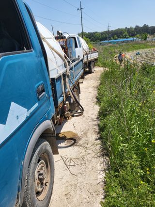 김영진(전남영광)님의 고추 · 파종•정식 작성글 사진