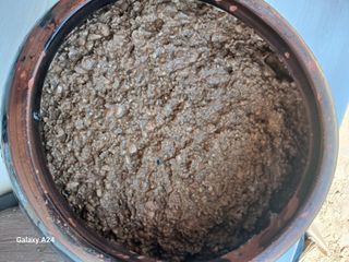 이상애초보농업님의 자유주제 · 자유게시판 작성글 사진