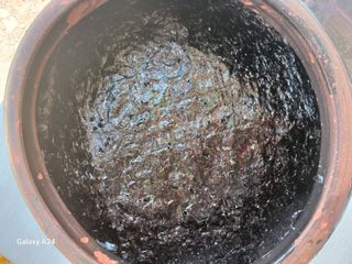 이상애초보농업님의 자유주제 · 자유게시판 작성글 사진