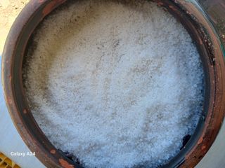 이상애초보농업님의 자유주제 · 자유게시판 작성글 사진