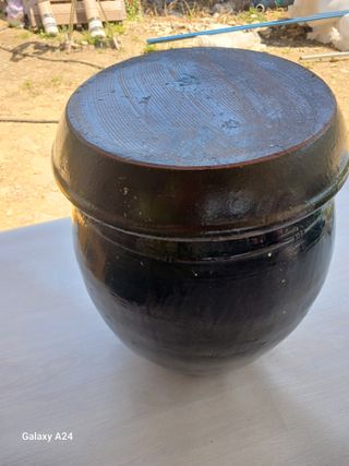 이상애초보농업님의 자유주제 · 자유게시판 작성글 사진