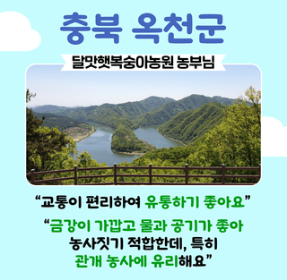 팜모닝님의 팜모닝공식 · 농사정보 작성글 사진