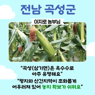 팜모닝님의 팜모닝공식 · 농사정보 작성글 사진