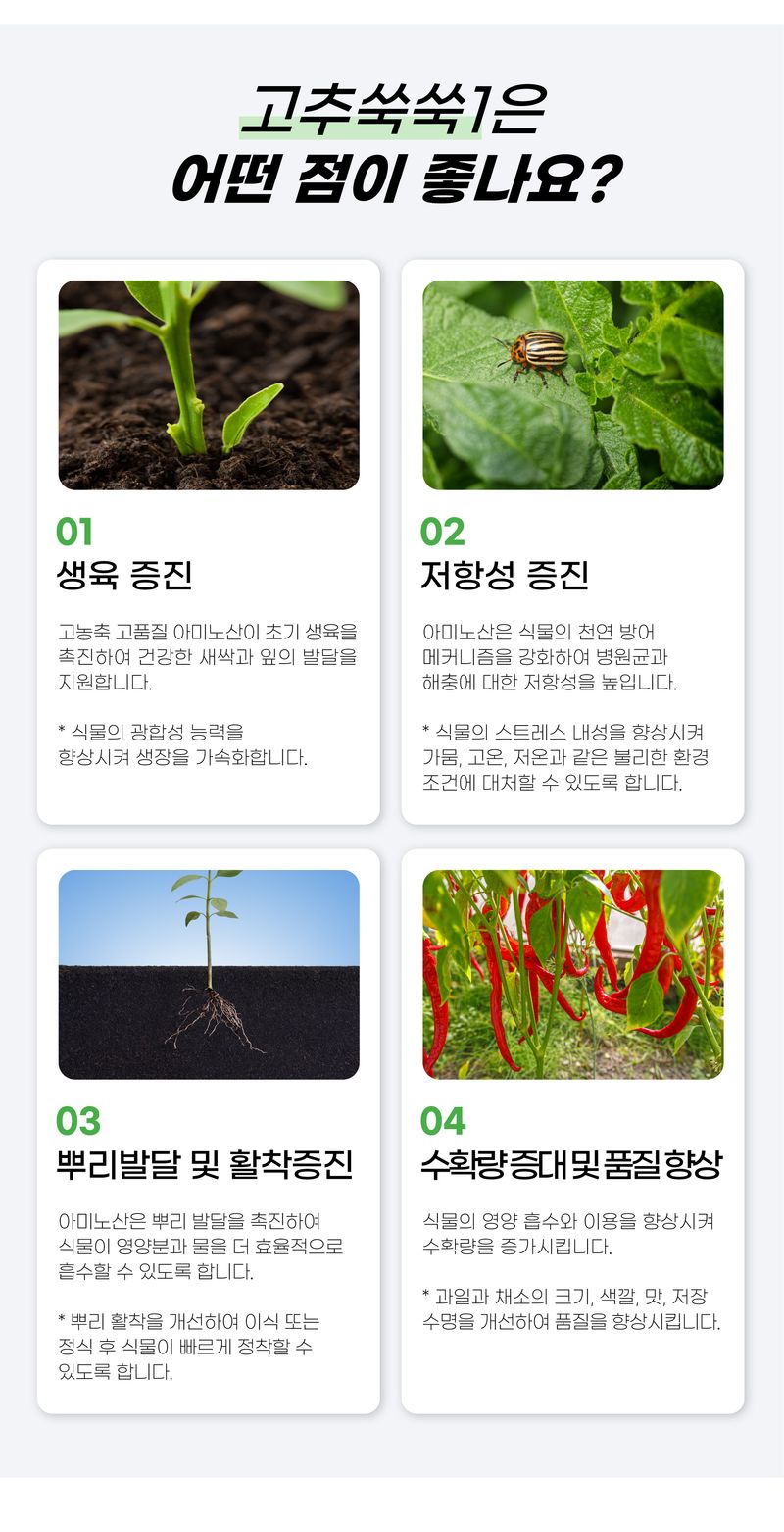 농사엔 공식님의 장터 판매 상품 [[농사엔] 고추쑥쑥 1,2 단계(4병) + 칼슘 2병 증정 (총 6병) ] 첨부 사진