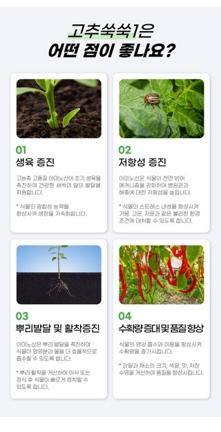 농사엔 공식님의 작성글 사진