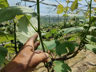 한가뫼님의 자유주제 · 사진전 작성글 사진