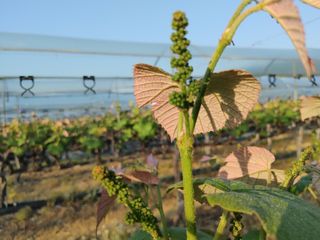 한가뫼님의 자유주제 · 사진전 작성글 사진