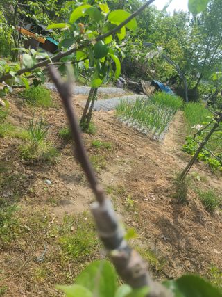 양경욱님의 자유주제 · 자유게시판 작성글 사진