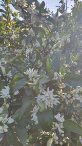 팜모닝 5월 농사계획 공유하기·참여글 게시글 이미지