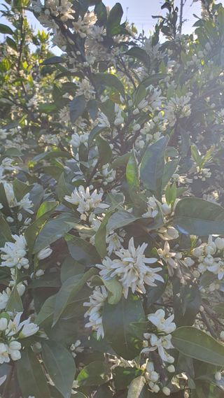 김봉국님의 5월 농사계획 공유하기 · 참여글 작성글 사진