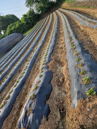 영애님의 자유주제 · 자유게시판 작성글 사진