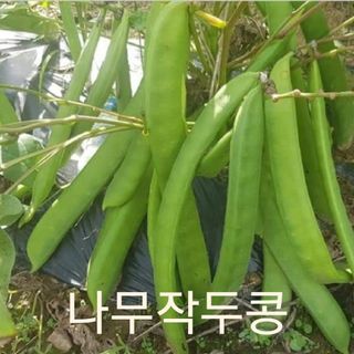 주희님의 작성글 사진