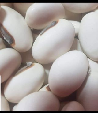 주희님의 작성글 사진