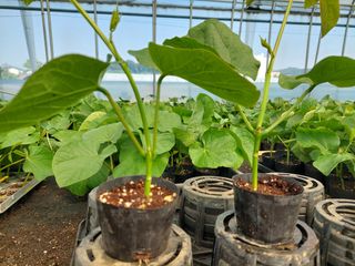 주희님의 작성글 사진