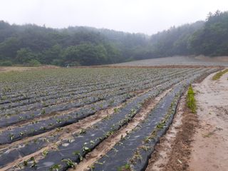 이화수님의 자유주제 · 자유게시판 작성글 사진