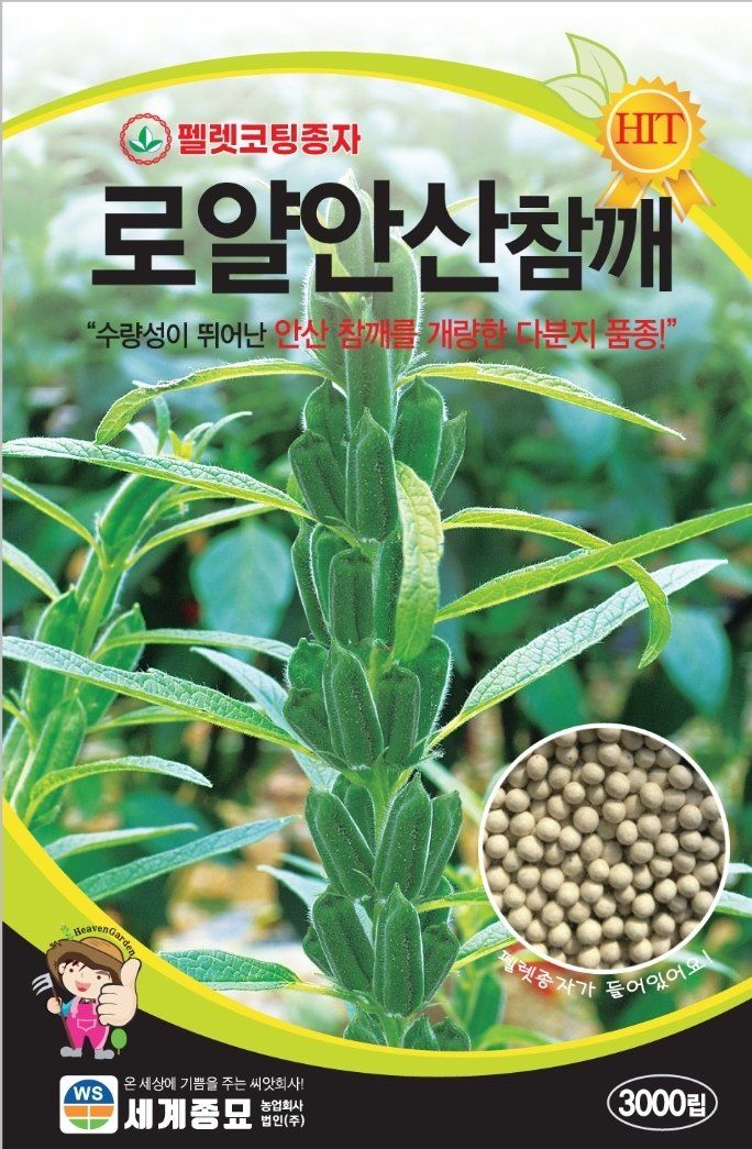 장터 상품 [로얄안산참깨3000립 [코팅참깨]] 썸네일