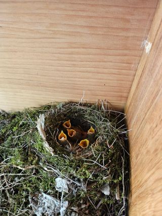 영숙님의 자유주제 · 자유게시판 작성글 사진