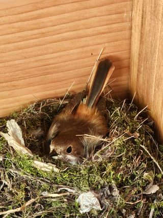 영숙님의 자유주제 · 자유게시판 작성글 사진