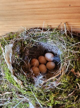 영숙님의 자유주제 · 자유게시판 작성글 사진