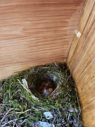 영숙님의 자유주제 · 자유게시판 작성글 사진