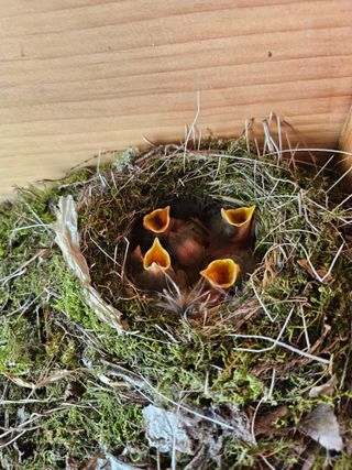 영숙님의 자유주제 · 자유게시판 작성글 사진