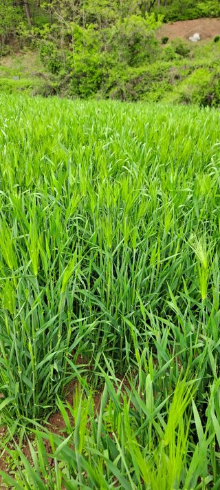 박상춘님의 자유주제 · 자유게시판 작성글 사진