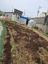 팜모닝 자유주제·자유게시판 게시글 이미지