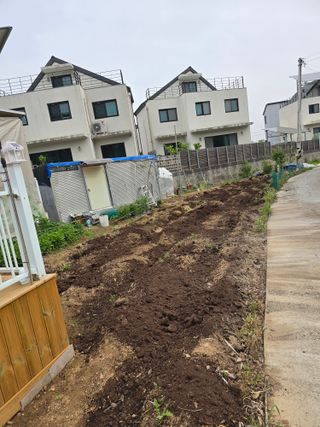 들깨19622님의 자유주제 · 자유게시판 작성글 사진