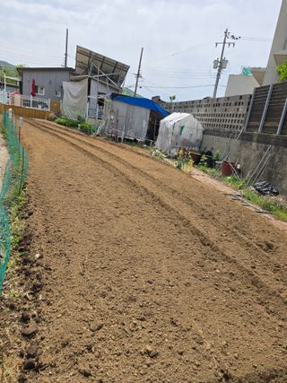 들깨19622님의 자유주제 · 자유게시판 작성글 사진